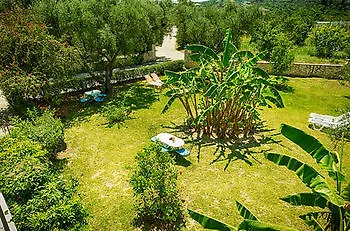 Artemis Studios And Apartments Hotel Psarou (Zakynthos)